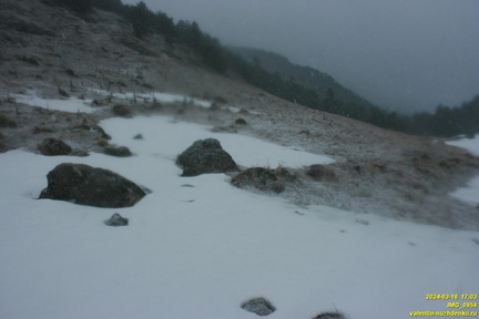 Гурзуфская яйла