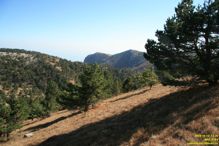 Гурзуфская яйла
