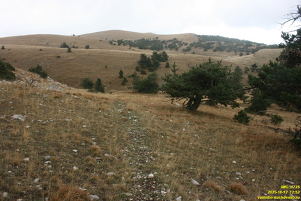 Гурзуфская яйла