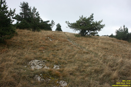 Гурзуфская яйла