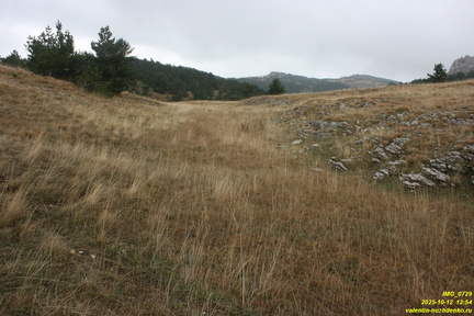 Гурзуфская яйла