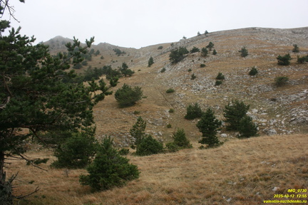 Гурзуфская яйла