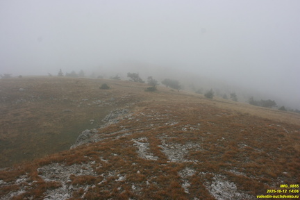 Гурзуфская яйла