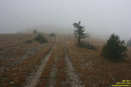 Гурзуфская яйла
