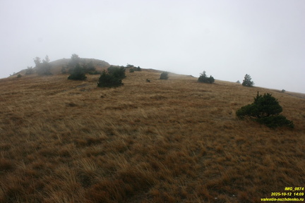 Гурзуфская яйла