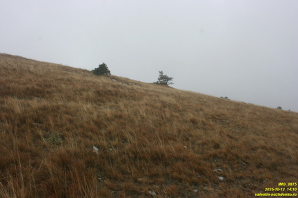 Гурзуфская яйла