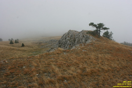 Гурзуфская яйла