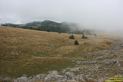 Гурзуфская яйла