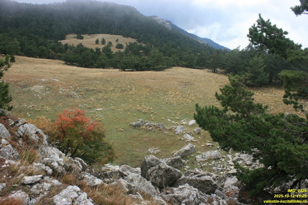 Никитская яйла