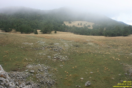 Никитская яйла