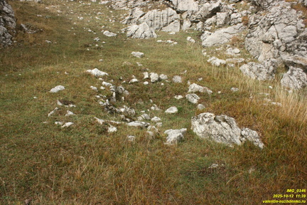 Никитская яйла