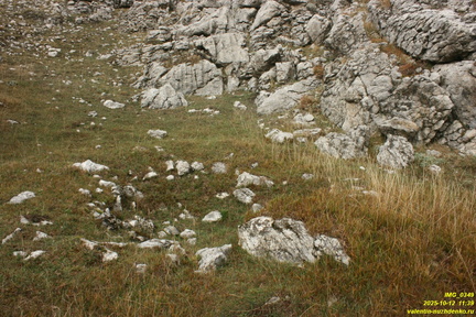 Никитская яйла