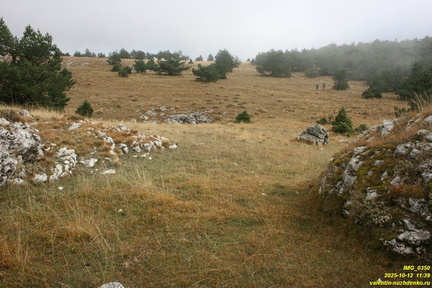 Никитская яйла