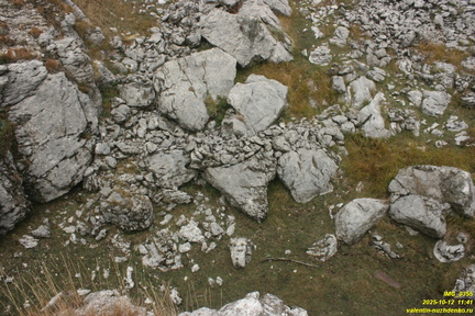 Никитская яйла