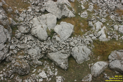 Никитская яйла