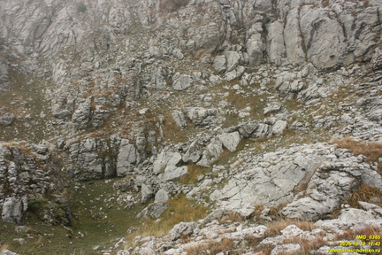 Никитская яйла