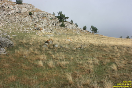 Никитская яйла