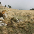 Никитская яйла