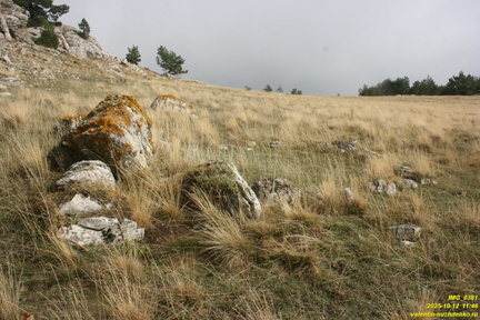 Никитская яйла