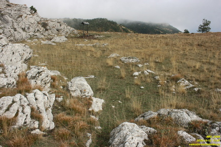 Никитская яйла