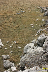 Никитская яйла