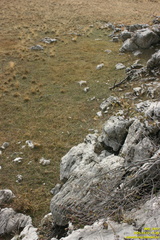 Никитская яйла