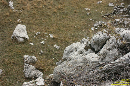 Никитская яйла