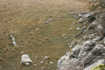 Никитская яйла