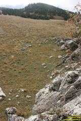 Никитская яйла