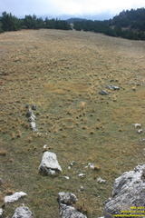 Никитская яйла