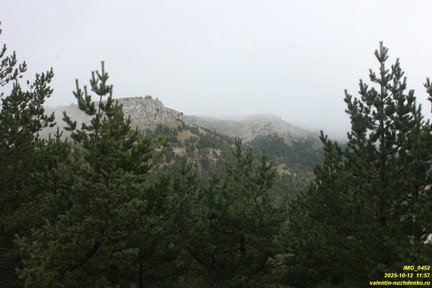 Никитская яйла