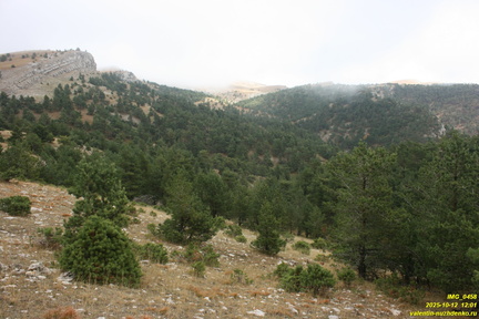 Никитская яйла