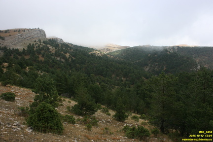 Никитская яйла