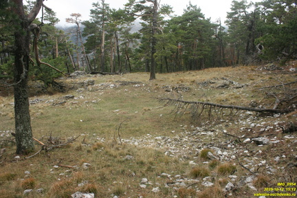 Никитская яйла