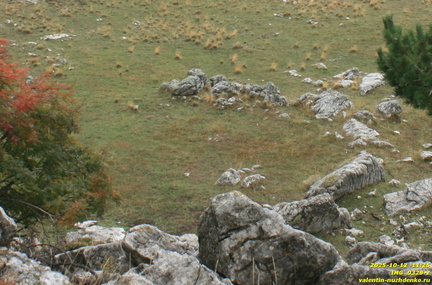 Никитская яйла