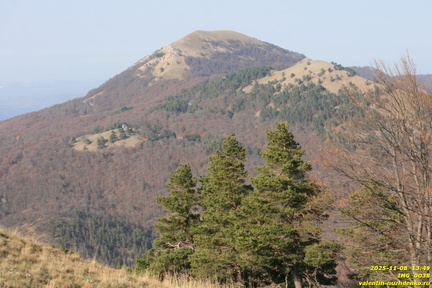 Чучели