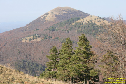 Чучели