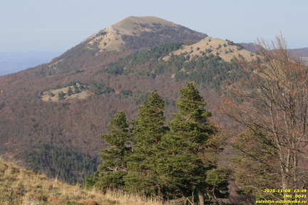 Чучели