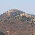 Чучели