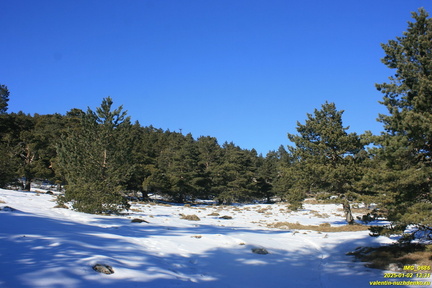 Никитская яйла