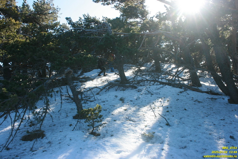 nikitskaya-yajla-2025-01-02-703.JPG