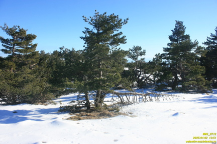 Никитская яйла