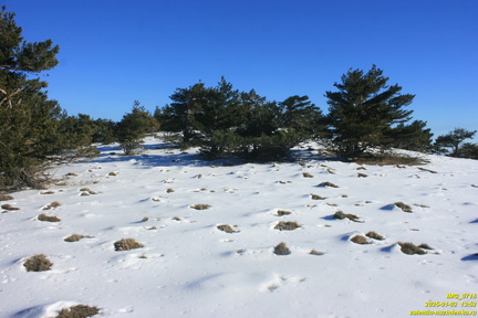 Никитская яйла