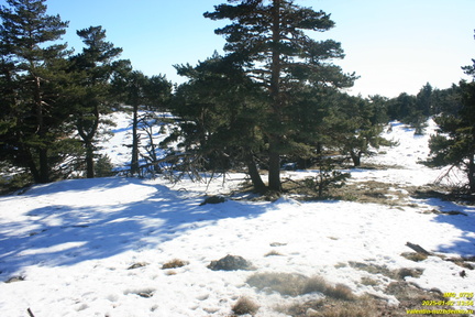 Никитская яйла