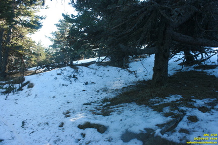 Никитская яйла