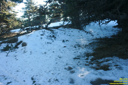 Никитская яйла