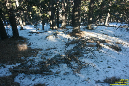 Никитская яйла