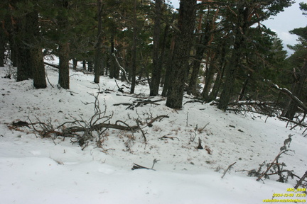 Никитская яйла