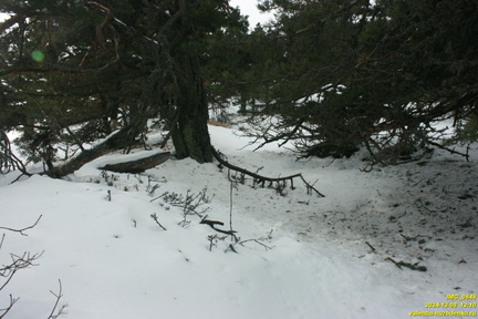 Никитская яйла