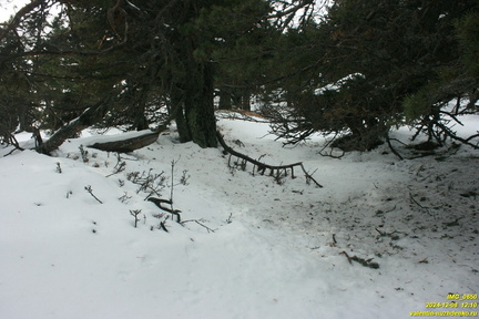 Никитская яйла